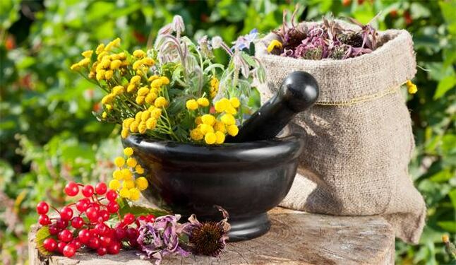 Medicinal plants that help increase male potency